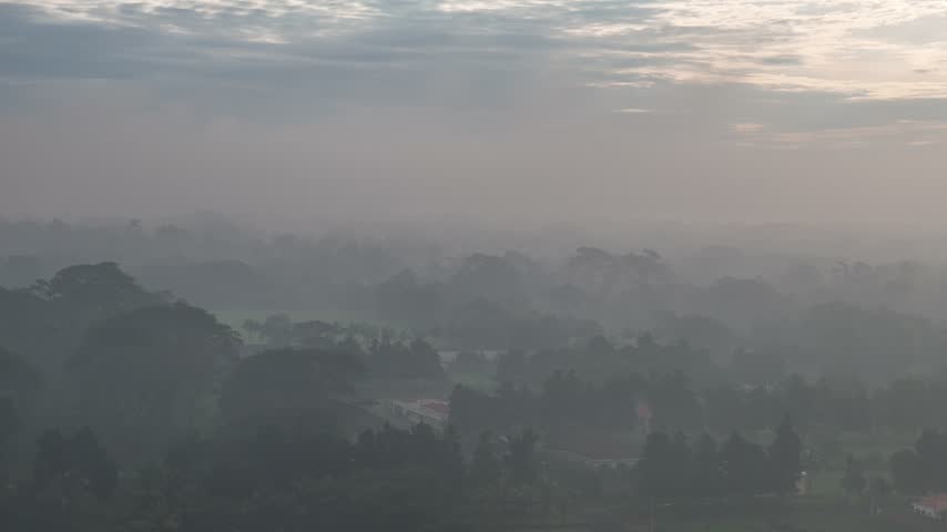 Mist covers forested hills and trees beneath clouds in the early morning.
