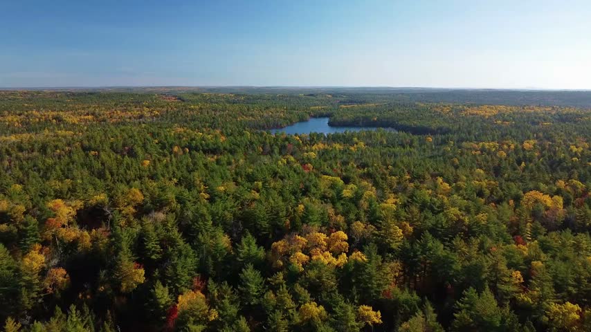 flying above the forest towards a lake in fall