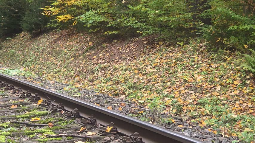 Curving Railway Tracks Through Colorful Autumn Forest near Borstendorf, Germany