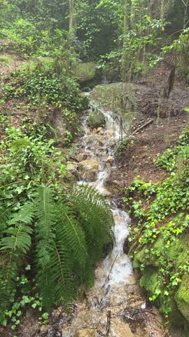 A mountain stream flowing peacefully. 