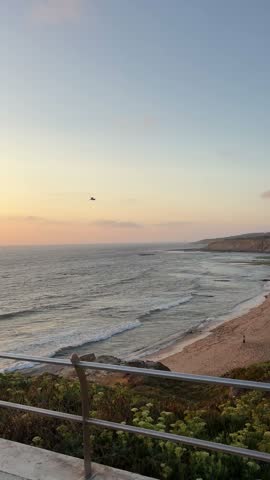 Scenic sunset over coastal beach and ocean waves with a seagull flying in golden twilight sky.