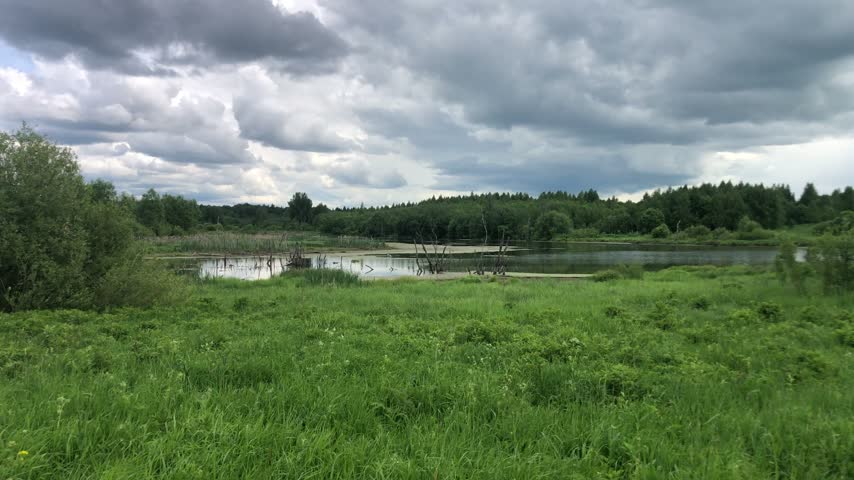 A serene landscape featuring a lush, green grassy field in the foreground that leads down to a calm body of water. Across the water, a dense line of dark green trees forms the horizon. The scene is set under a dramatic, overcast sky filled with heavy, grey and white clouds. 