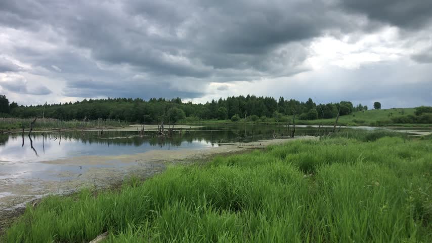 A serene landscape featuring a calm river or lake under a dramatic, overcast sky. The foreground is filled with lush green grass, leading down to a sandy bank and the reflective water. Across the water, a dense line of green trees forms the horizon, while dark, heavy clouds dominate the sky above.