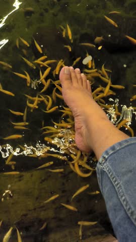 Foot In Fish Spa Pedicure With Garra Rufa Fish