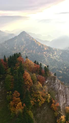 A stunning mountain landscape covered with vibrant yellow, orange, and green trees, showcasing the beauty of nature in autumn.
