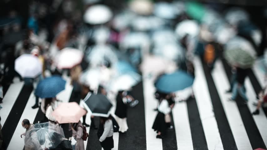 Crowd Crossing a Crosswalk on a Rainy Day in Osaka