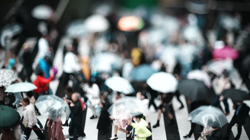Crowd Crossing a Crosswalk on a Rainy Day in Osaka