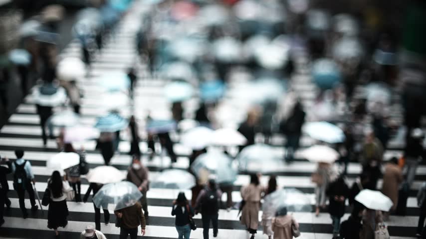 Crowd Crossing a Crosswalk on a Rainy Day in Osaka
