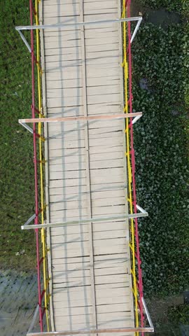 Aerial view of a narrow pedestrian bridge crossing over a lush green wetland area top down perspective capturing