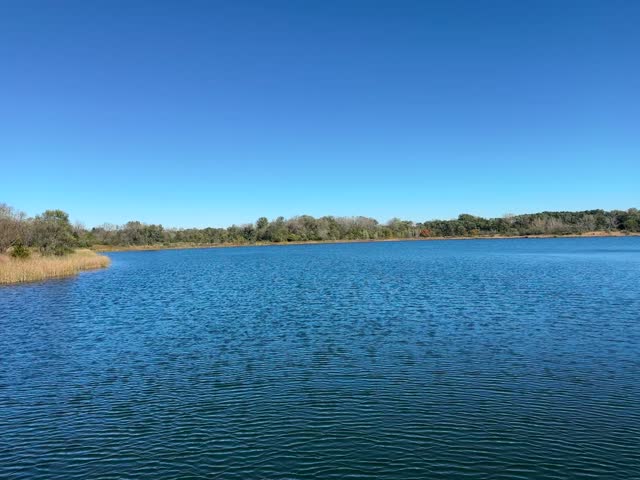 Waves in a lake at a forest preserve
