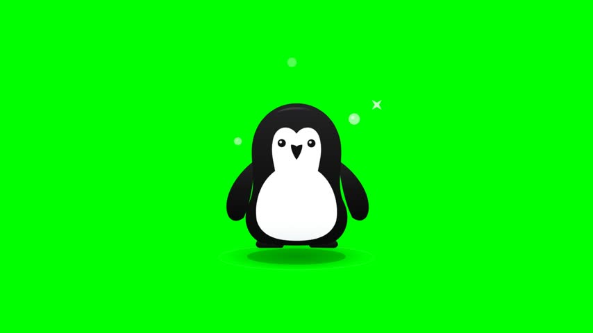 A cute black and white cartoon penguin character bounces playfully against a vivid green backdrop. The minimalist animal illustration features simple fluid motions with cheerful blinking eyes. Subtle floating bubbles surround central figure during smooth loop sequence. Bright studio lighting illuminates flat vector style motion graphic.