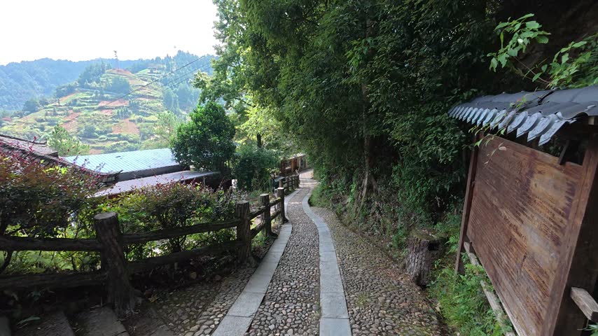 Narrow stone path beside fences and trees at Nanhua Village, Guizhou, China.