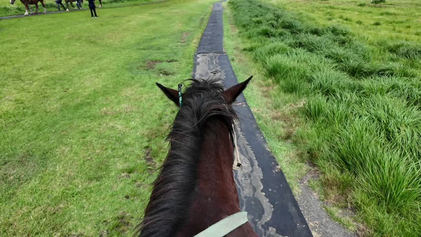 Riding a horse along the scenic trail in Kusasenri, Mount Aso.