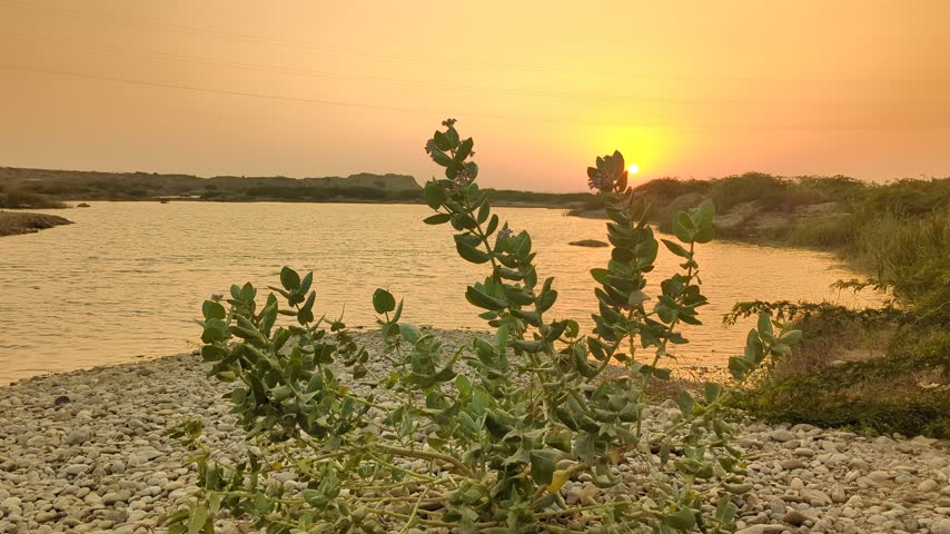 Tiny natural stones resting along a lake margin, showcasing intricate surface details, shallow water patterns, earthy colors, and untouched freshwater scenery.
