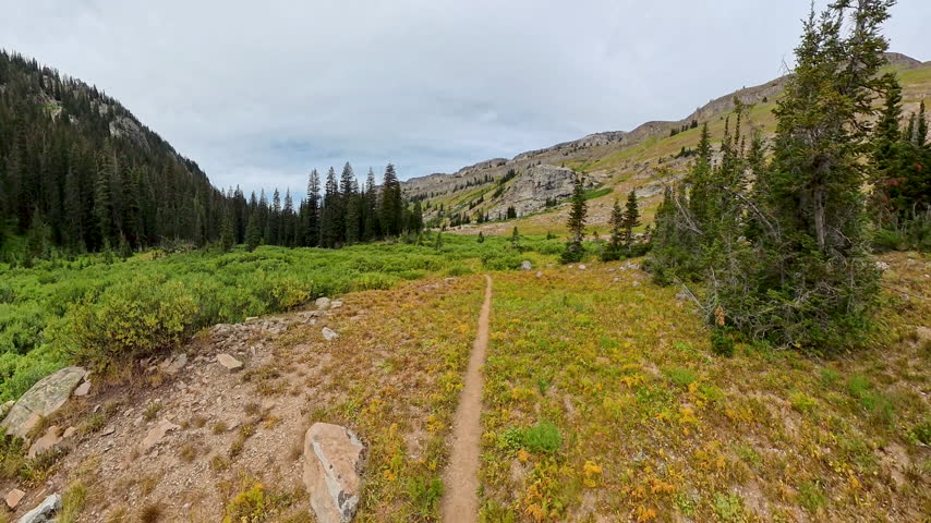 High Angle of Trail toward Death Canyon Of Grand Teton National Park