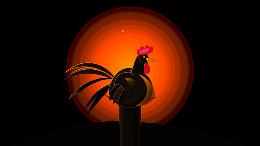 A minimalist graphic rooster silhouette stands prominently centered within a vibrant orange circular backdrop. The flat vector art style creates high contrast against the solid dark atmosphere surrounding the glowing solar disc. Elegant motion sequences define this decorative animation suitable for various modern creative design projects requiring rustic themes.
