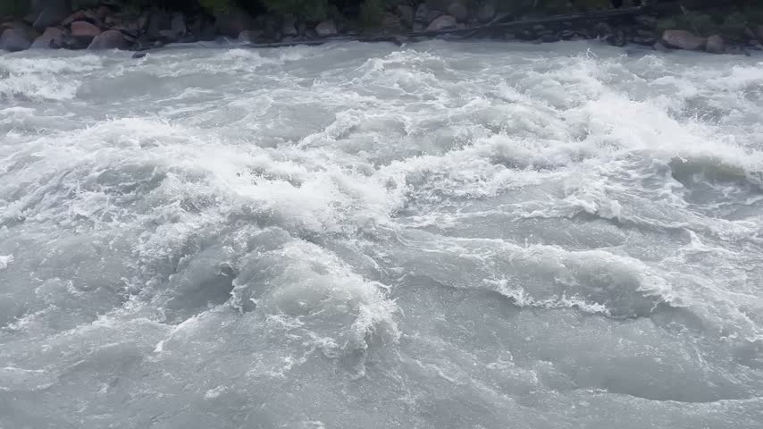 Powerful whitewater rapids churn downstream, foamy waves crashing over submerged rocks, dense vegetation bordering boulders lining shoreline, natural daylight illuminating turbulent water surface.