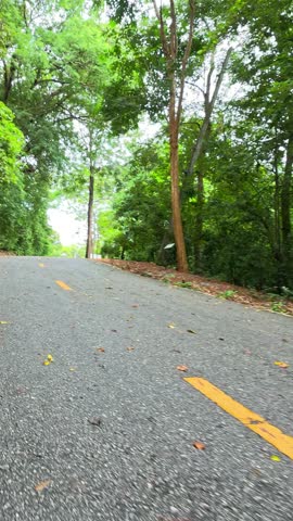 A low angle camera moves forward along a quiet asphalt road surrounded by lush trees.