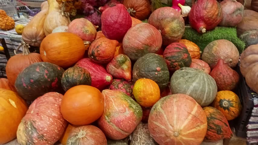 A colorful selection of pumpkins and patterned winter squash fills a crowded market produce stall.