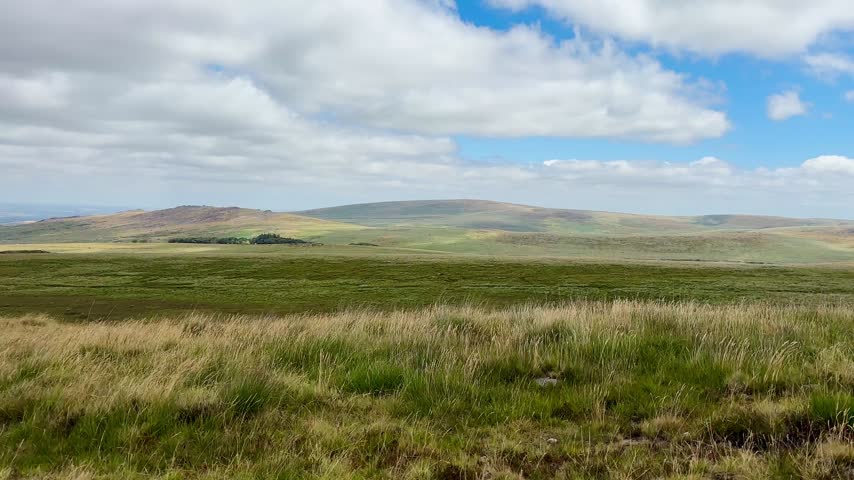 Rolling grassy hills and open moorland terrain stretching across Dartmoor National Park with green fields and distant low hills beneath a blue sky filled with white clouds