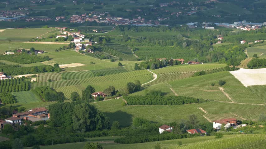 High angle panoramic view over sunlit vineyard hills and rural valleys in Piedmont, Italy.