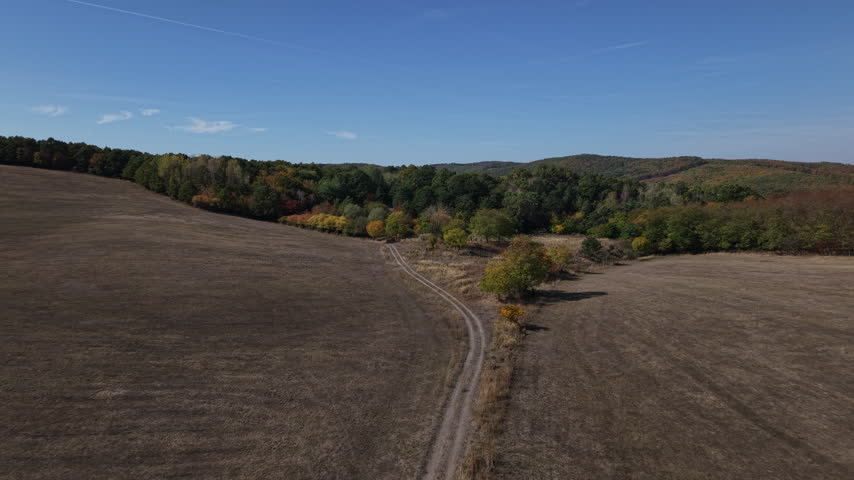 An aerial view shows a winding dirt track through a dry field, leading towards a vibrant autumn forest and rolling hills under a clear blue sky.