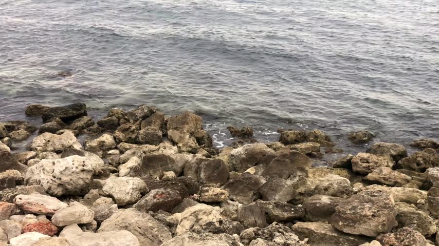 A close-up view of a rocky shoreline where a body of water meets the land. The foreground is filled with a jumble of light-colored, rounded stones and rocks of varying sizes. Gentle ripples disturb the surface of the dark, greyish water, which washes against the rocky edge.