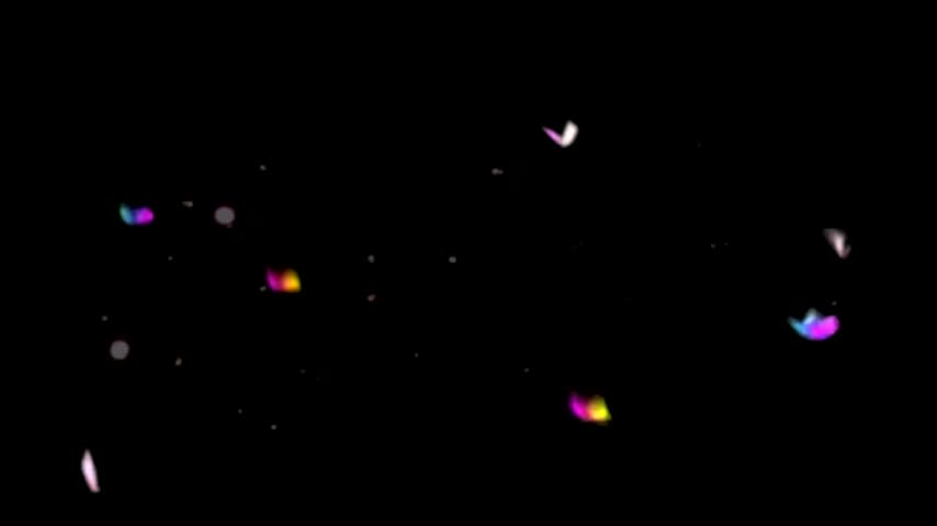 a flock of colorful butterflies flying on a black background