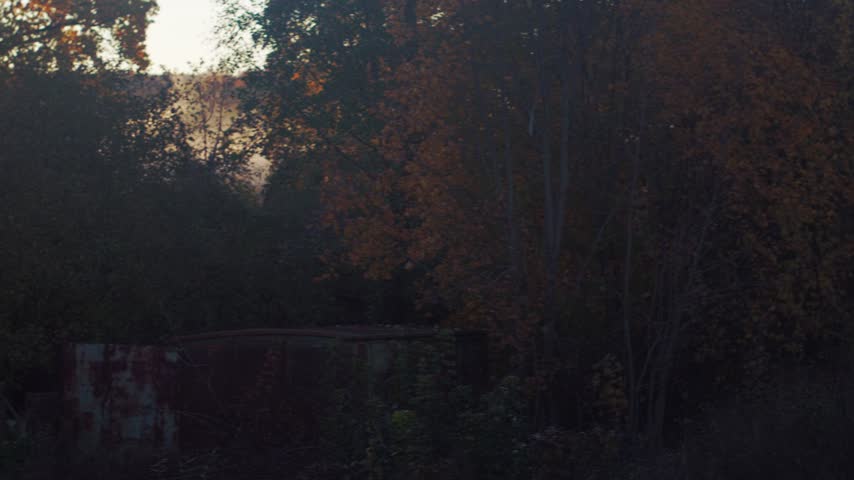 A railway curves through trees in autumn near a wooded area, with mist rising above the tracks in the morning light.
