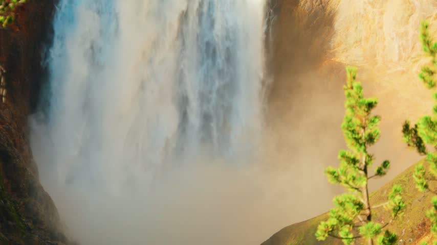 A tight close up shows the Lower Falls thundering down with white water and rising mist behind a small green pine tree while golden morning sunlight warms the canyon rock at the edge of the frame.