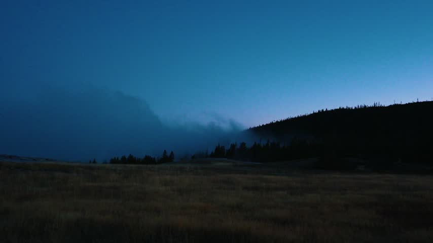 Soft blue twilight settles over a golden grass meadow in Yellowstone as a low fog bank drifts along a dark forested hillside under a clear gradient sky just before sunrise in the park wilderness.