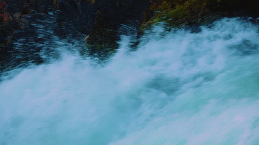 Powerful white water surges and crashes in a close up shot of a rushing river beside a dark mossy canyon wall with green moss and small yellow leaves clinging to the wet rock above the rapids.