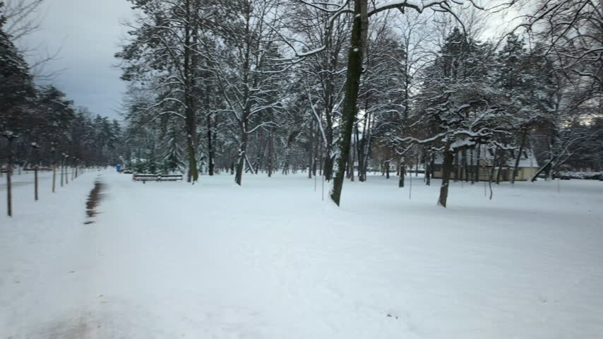 Snow Covered Park With Bare Trees and Benches. A quiet winter landscape passes by as the camera moves through a peaceful grove