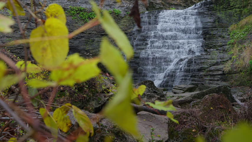 Yellow autumn leaves frame a stepped waterfall cascading down layered limestone at Rockway Falls in Ontario. Cold water flows down the rock face into a shadowed forest basin.
