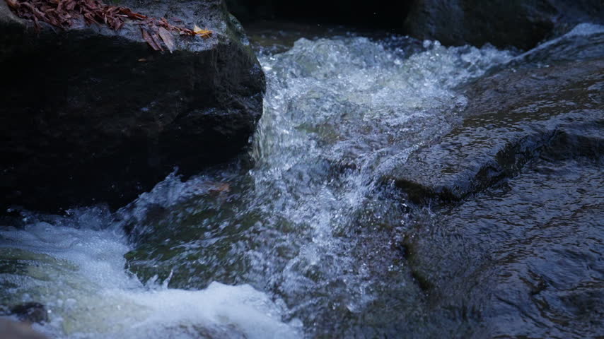 Churning water rushes between dark rocks in a forest stream during autumn. The high frame rate reveals individualized ripples and splashing water droplets.