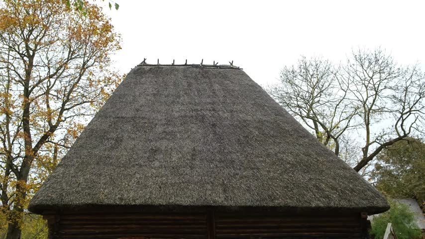 Traditional old wooden building with a thatched straw roof surrounded by autumn trees, historic rural architecture landscape. High quality 4k footage.