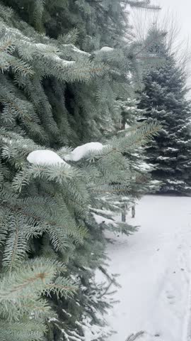 After snow storm somewhere in Ontario Canada
