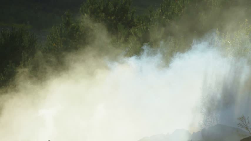 Thick white smoke and steam billow across an outdoor clearing with green pine trees in the background, backlit by bright sunlight.
