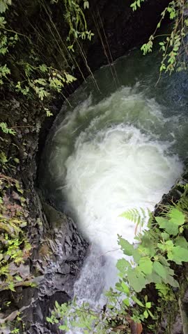 Foaming water swirling inside a smooth rock pool in a forest gorge