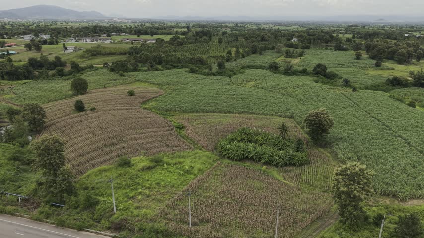 Panoramic aerial perspective of countryside farmland, asphalt road, and dramatic cloudy sky.