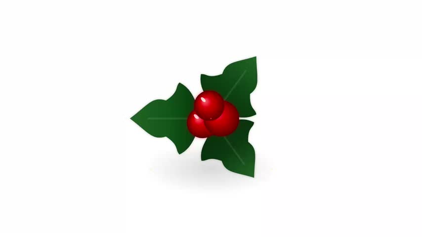 Graphic illustration displays festive green foliage alongside polished crimson sphere fruit centered against minimalist bright background. Fluid motion animates traditional winter botanical icons via subtle floating physics. Clean studio lighting accentuates smooth surface textures and cheerful seasonal aesthetics throughout this charming holiday vector design piece featuring celebrations.