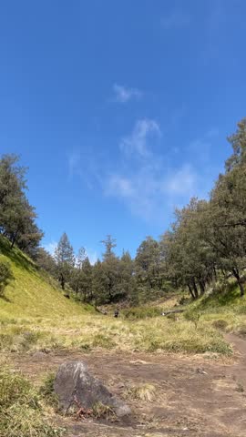 Scenic mountain valley hiking trail with dry grass, pine trees, and hikers walking in distance under clear blue sky.