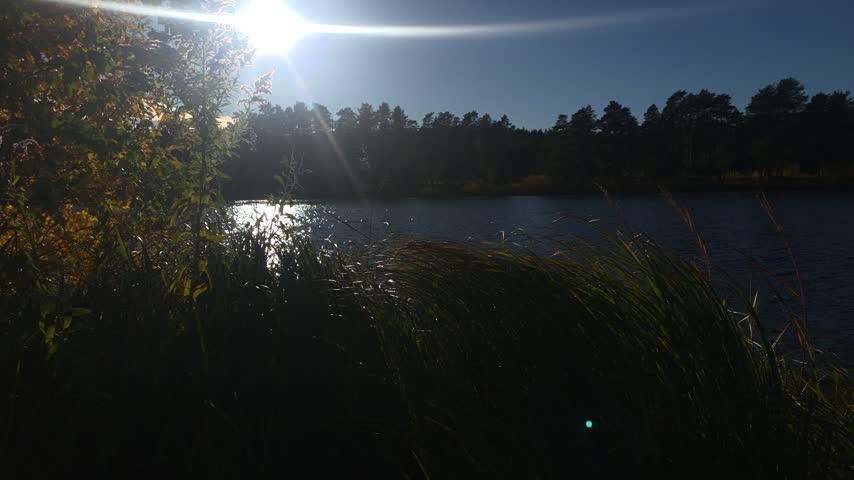 Dark Silhouetted Riverbank Overlooking Sunlit Water And Distant Forest