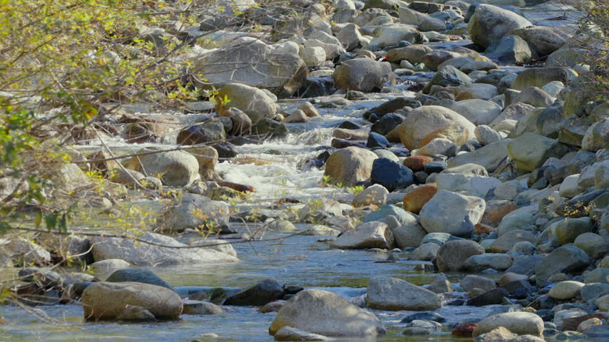 Rocky Creek with Flowing Water and Autumn Foliage