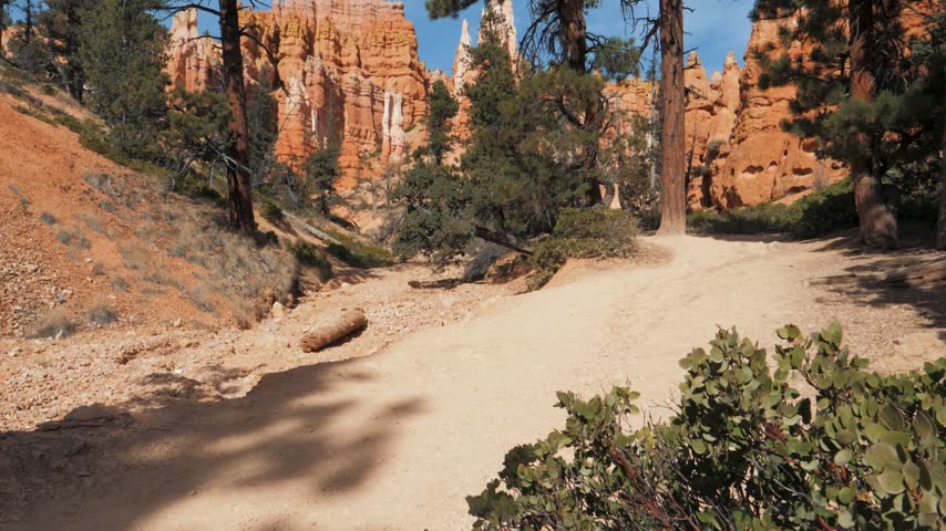 Pine trees framing towering red rock hoodoo formations along a sandy trail in bryce canyon national park, tilting up toward the blue sky during a sunny day