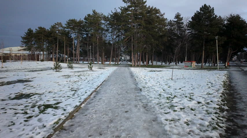 Snowy Park Path Through Tall Pine Trees. The camera advances along a frozen walkway beneath a cloudy winter sky