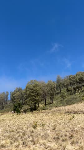 Scenic mountain landscape with dry grass field, pine trees, and fog drifting across the hiking trail under bright blue sky. 