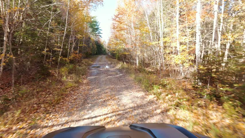 Side by Side traveling down narrow road in Northern Maine.