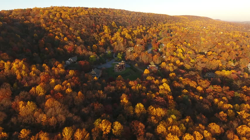 Aerial drone shot drifting slowly over a hillside of dense autumn forest with orange and yellow fall foliage in golden hour sunlight in rural Pennsylvania, USA.