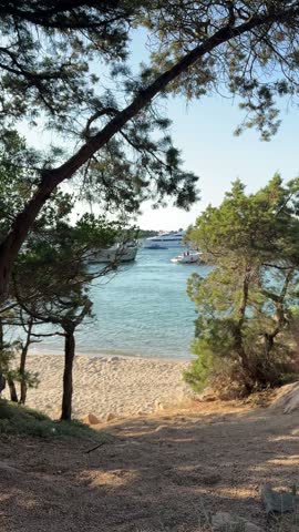 Vertical video clip of a sandy beach cove framed by Mediterranean trees and shade, with boats anchored on clear turquoise waters, Sardinia, Italy.